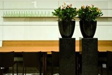 geo-cup-blackpolished-17086-028