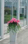 Alfresco 3