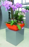 Red Linik bowl with pink orchids
