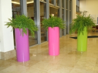 Pillar tall bright planters