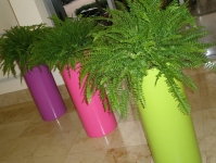 Pillar tall bright planters