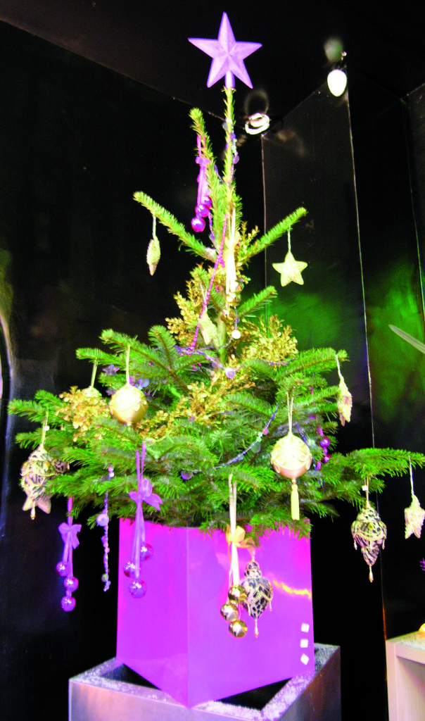 Christmas Trees Plants 4 Business IPF Omnipex